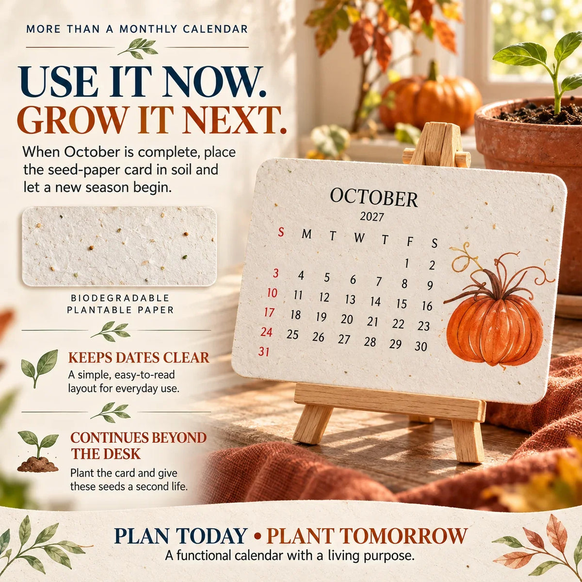 🌱Eco-Friendly Plantable “Timeless” Seed Calendar 2027